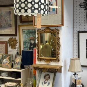 Thrift Shop Treasures